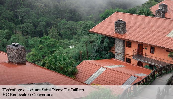 Hydrofuge de toiture saint-pierre-de-juillers-17400 HC Rénovation Couverture-7