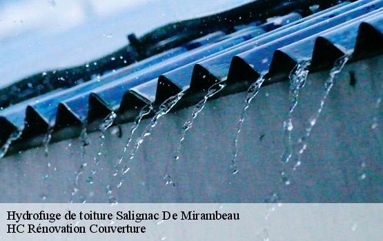 Hydrofuge de toiture  salignac-de-mirambeau-17130 HC Rénovation Couverture-1
