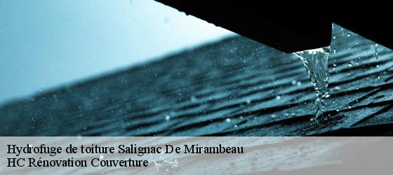 Hydrofuge de toiture  salignac-de-mirambeau-17130 HC Rénovation Couverture-4
