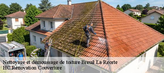 Nettoyage et démoussage de toiture breuil-la-reorte-17700 HC Rénovation Couverture-4