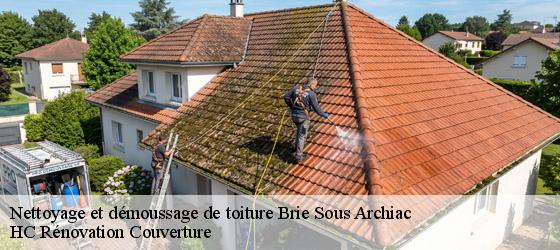 Nettoyage et démoussage de toiture brie-sous-archiac-17520 HC Rénovation Couverture-4