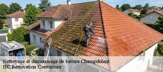 Nettoyage et démoussage de toiture champdolent-17430 HC Rénovation Couverture-4