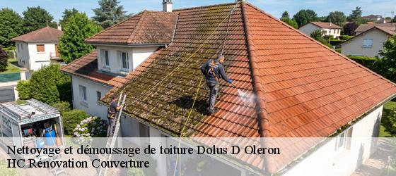 Nettoyage et démoussage de toiture dolus-d-oleron-17550 HC Rénovation Couverture-4