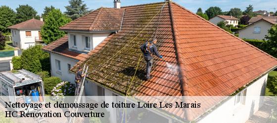 Nettoyage et démoussage de toiture loire-les-marais-17870 HC Rénovation Couverture-4