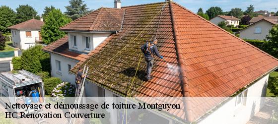 Nettoyage et démoussage de toiture montguyon-17270 HC Rénovation Couverture-4