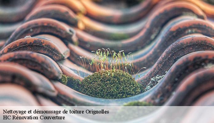 Nettoyage et démoussage de toiture orignolles-17210 HC Rénovation Couverture-7