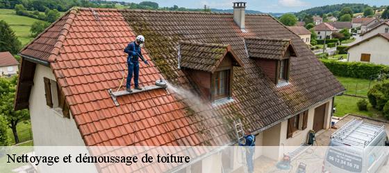 Nettoyage et démoussage de toiture pons-17800 HC Rénovation Couverture-3