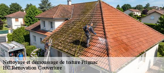 Nettoyage et démoussage de toiture prignac-17160 HC Rénovation Couverture-4