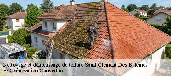 Nettoyage et démoussage de toiture saint-clement-des-baleines-17590 HC Rénovation Couverture-4