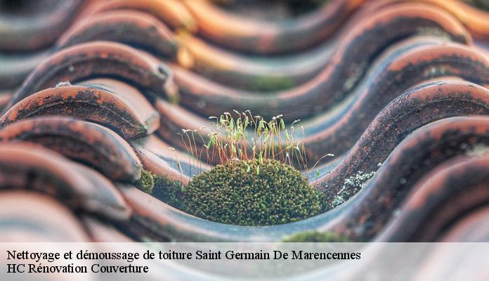 Nettoyage et démoussage de toiture saint-germain-de-marencennes-17700 HC Rénovation Couverture-7