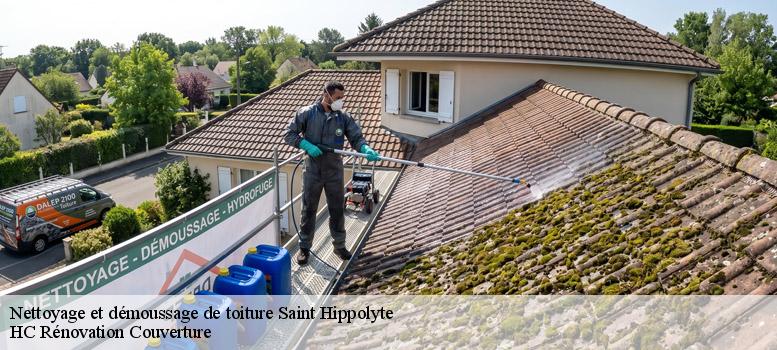 Nettoyage et démoussage de toiture saint-hippolyte-17430 HC Rénovation Couverture-1