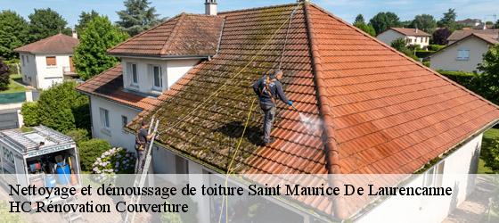 Nettoyage et démoussage de toiture saint-maurice-de-laurencanne-17130 HC Rénovation Couverture-4