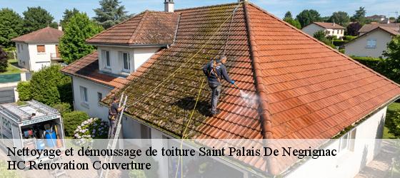 Nettoyage et démoussage de toiture saint-palais-de-negrignac-17210 HC Rénovation Couverture-4