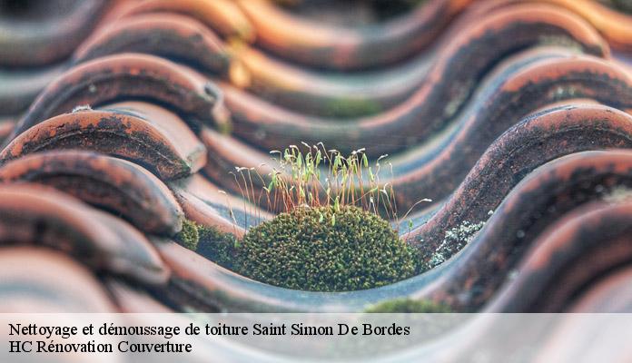 Nettoyage et démoussage de toiture saint-simon-de-bordes-17500 HC Rénovation Couverture-7