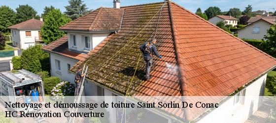 Nettoyage et démoussage de toiture saint-sorlin-de-conac-17150 HC Rénovation Couverture-4