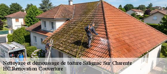 Nettoyage et démoussage de toiture salignac-sur-charente-17800 HC Rénovation Couverture-4