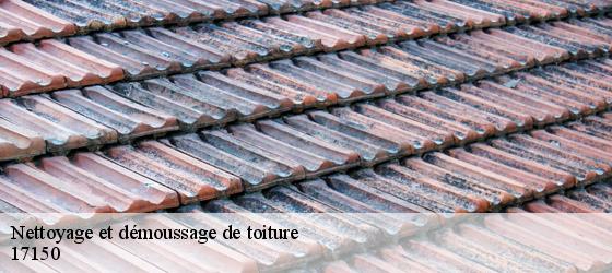 Nettoyage et démoussage de toiture semillac-17150 HC Rénovation Couverture-5