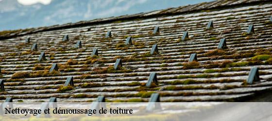 Nettoyage et démoussage de toiture soumeras-17130 HC Rénovation Couverture-6