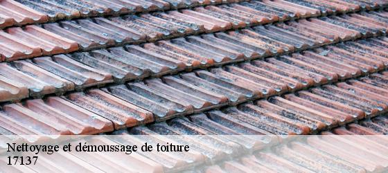 Nettoyage et démoussage de toiture  lauzieres-17137 HC Rénovation Couverture-5