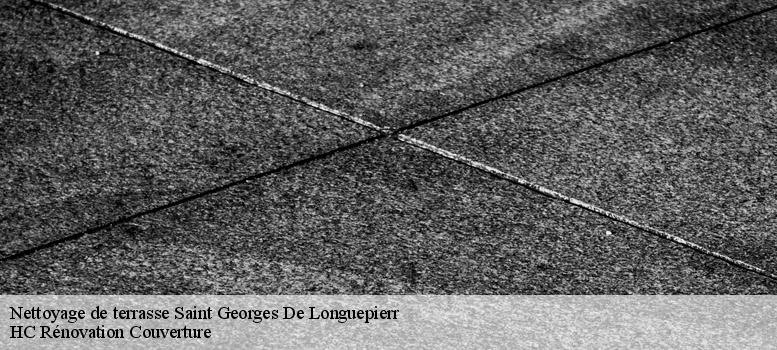 Nettoyage de terrasse  saint-georges-de-longuepierr-17470 HC Rénovation Couverture-1