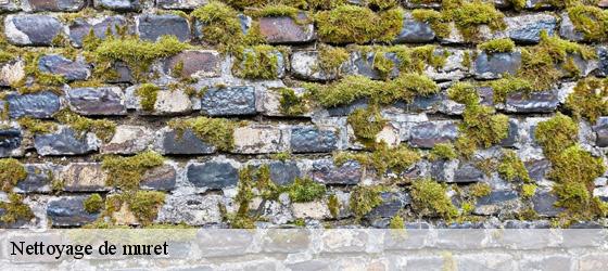 Nettoyage de muret angliers-17540 HC Rénovation Couverture-3