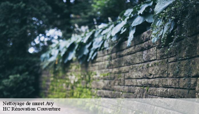 Nettoyage de muret avy-17800 HC Rénovation Couverture-7