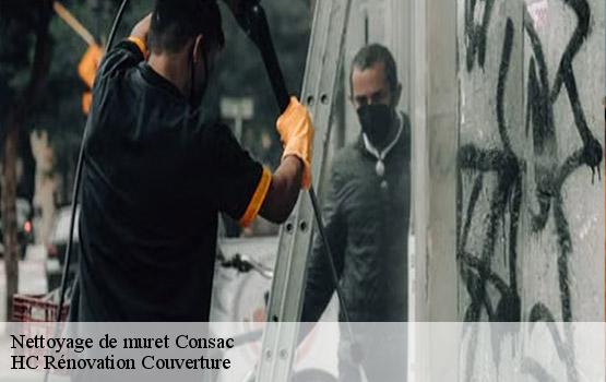 Nettoyage de muret consac-17150 HC Rénovation Couverture-1