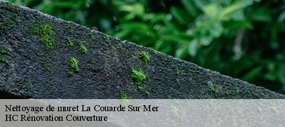 Nettoyage de muret la-couarde-sur-mer-17670 HC Rénovation Couverture-4