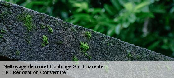 Nettoyage de muret coulonge-sur-charente-17350 HC Rénovation Couverture-4