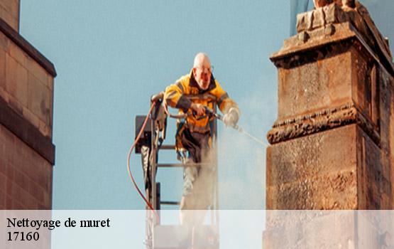 Nettoyage de muret  cresse-17160 HC Rénovation Couverture-2
