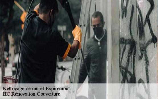 Nettoyage de muret  expiremont-17130 HC Rénovation Couverture-1