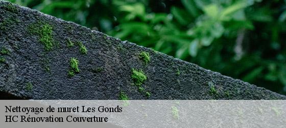 Nettoyage de muret  les-gonds-17100 HC Rénovation Couverture-4