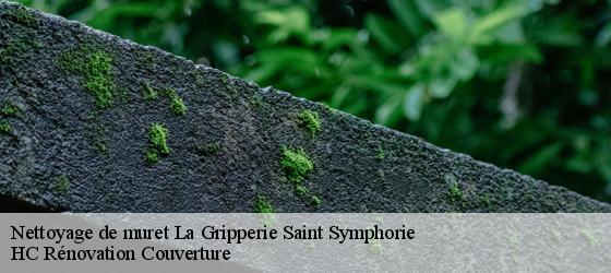 Nettoyage de muret la-gripperie-saint-symphorie-17620 HC Rénovation Couverture-4