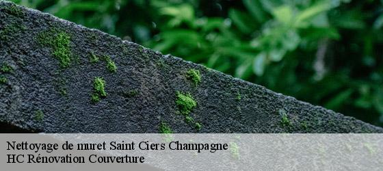 Nettoyage de muret saint-ciers-champagne-17520 HC Rénovation Couverture-4