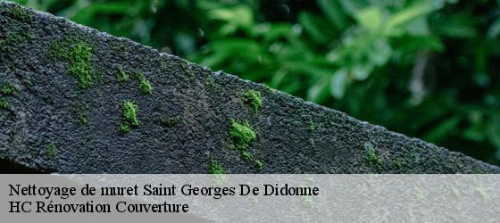 Nettoyage de muret saint-georges-de-didonne-17110 HC Rénovation Couverture-4