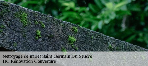 Nettoyage de muret saint-germain-du-seudre-17240 HC Rénovation Couverture-4