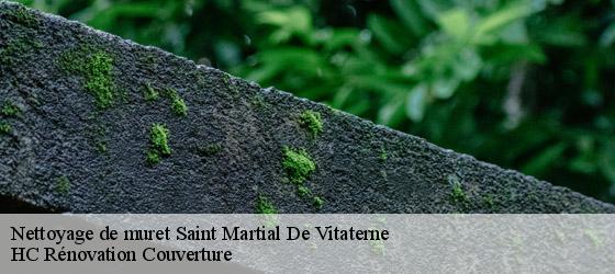 Nettoyage de muret saint-martial-de-vitaterne-17500 HC Rénovation Couverture-4
