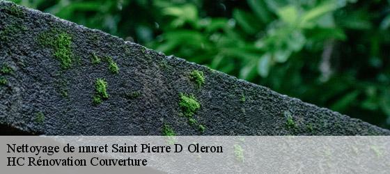 Nettoyage de muret saint-pierre-d-oleron-17310 HC Rénovation Couverture-4