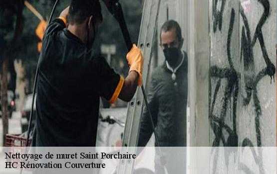 Nettoyage de muret saint-porchaire-17250 HC Rénovation Couverture-1