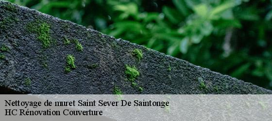 Nettoyage de muret saint-sever-de-saintonge-17800 HC Rénovation Couverture-4
