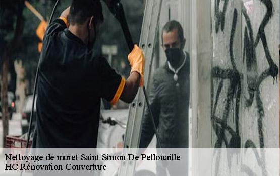 Nettoyage de muret  saint-simon-de-pellouaille-17260 HC Rénovation Couverture-1