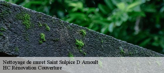 Nettoyage de muret saint-sulpice-d-arnoult-17250 HC Rénovation Couverture-4