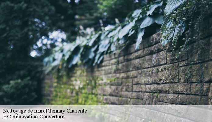 Nettoyage de muret  tonnay-charente-17430 HC Rénovation Couverture-7