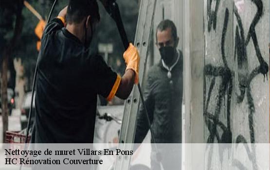 Nettoyage de muret villars-en-pons-17260 HC Rénovation Couverture-1