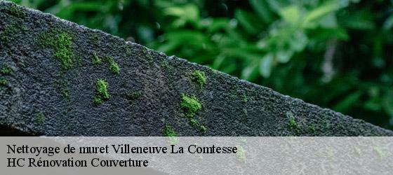 Nettoyage de muret  villeneuve-la-comtesse-17330 HC Rénovation Couverture-4